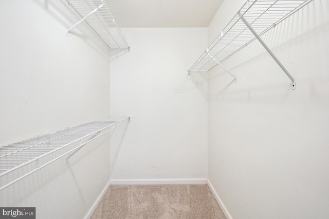 18707 Sparkling Water Dr Unit 3, Germantown, MD 20874 - walk in closet with light carpet