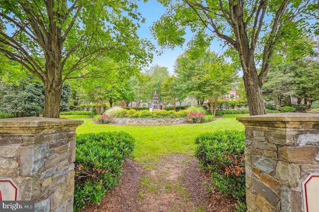 18707 Sparkling Water Dr Unit 3, Germantown, MD 20874 - view of green lawn