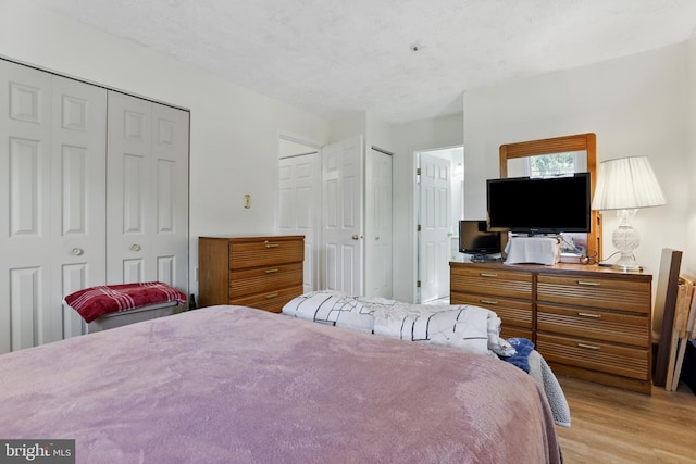12213 Eagles Nest Ct Unit M, Germantown, MD 20874 - bedroom with multiple closets and light wood-style floors