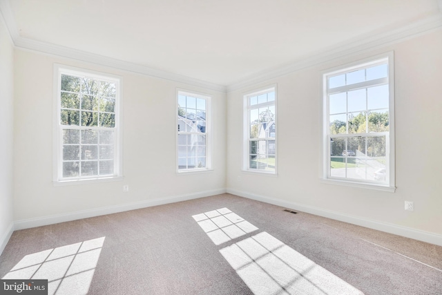 15491 Barnesville Rd, Boyds, MD 20841 - empty room featuring ornamental molding, light carpet, and baseboards