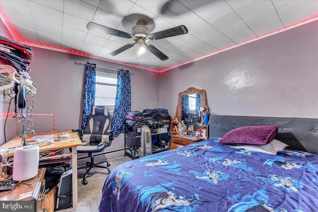 315 Mcginn Pl, New Castle, DE 19720 - carpeted bedroom with ceiling fan
