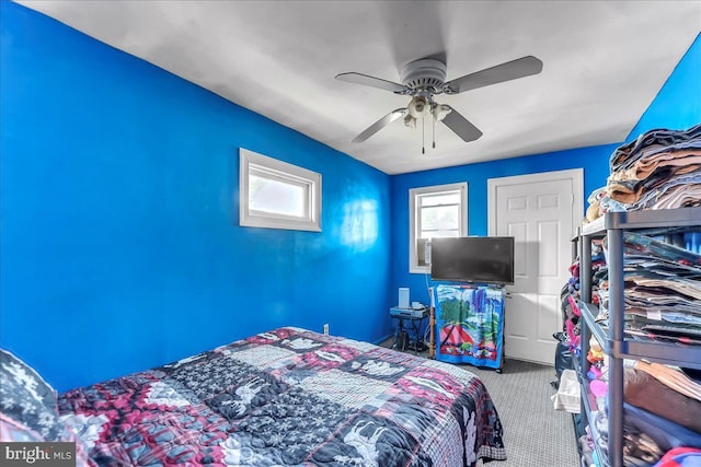 315 Mcginn Pl, New Castle, DE 19720 - carpeted bedroom with ceiling fan