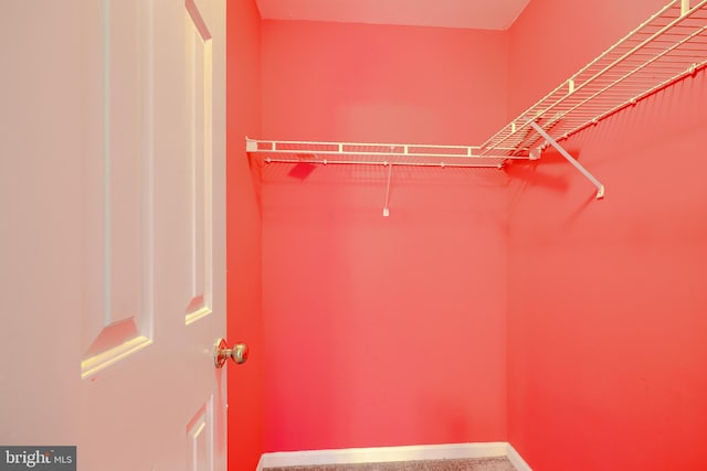 1713 Sea Pine Cir, Severn, MD 21144 - view of walk in closet