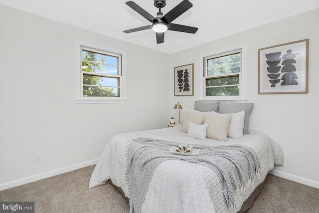 5507 Heatherwood Rd, Baltimore, MD 21227 - bedroom with carpet, multiple windows, and baseboards