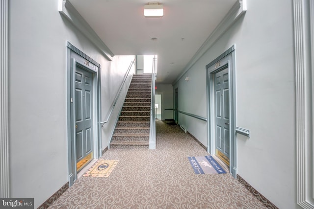 6549 Grange Ln Unit 401, Alexandria, VA 22315 - staircase featuring carpet, ornamental molding, and baseboards