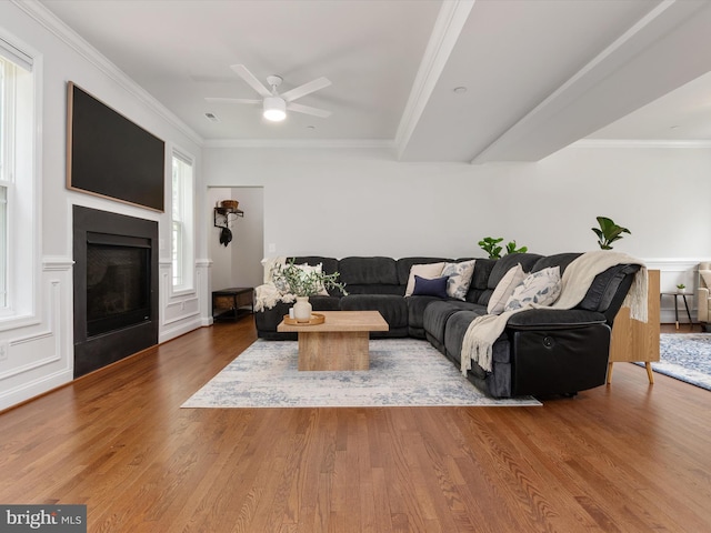 933 Winding Rd, Edgewater, MD 21037 - living area featuring plenty of natural light, wood finished floors, ceiling fan, a glass covered fireplace, and ornamental molding