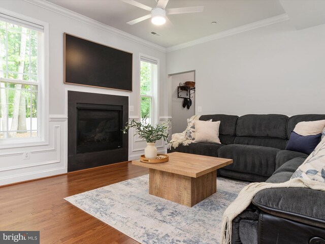 933 Winding Rd, Edgewater, MD 21037 - living area featuring wood finished floors, ceiling fan, crown molding, a glass covered fireplace, and a wainscoted wall
