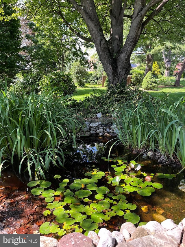 1138 Maple St, Carlisle, PA 17013 - view of yard with a small pond