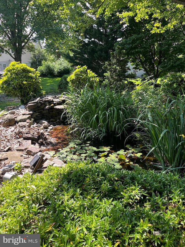 1138 Maple St, Carlisle, PA 17013 - view of undeveloped land