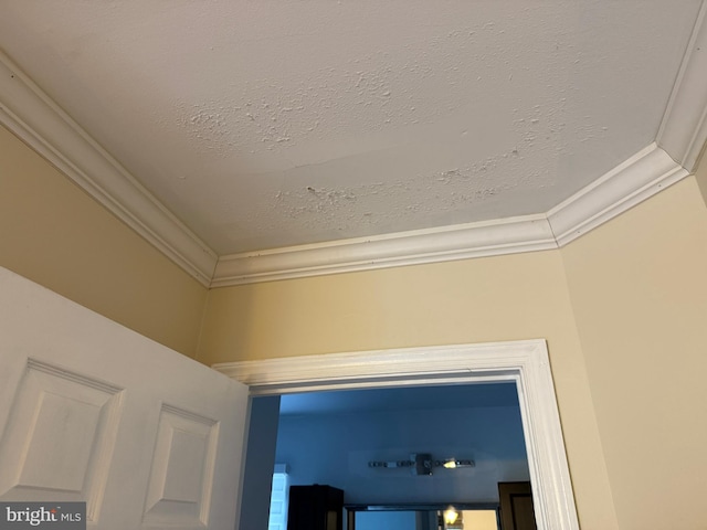 15 E Park Rd, Newtown, PA 18940 - detailed view of crown molding and a textured ceiling