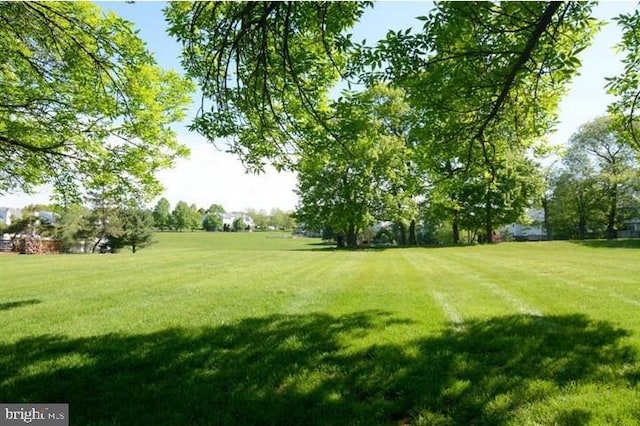 15 E Park Rd, Newtown, PA 18940 - view of green lawn