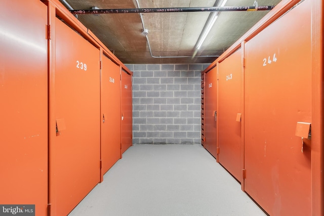 1276 N Wayne St Unit 300, Arlington, VA 22201 - view of storage