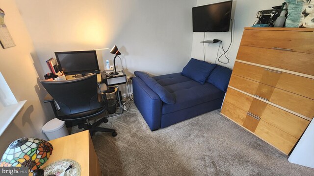 2921 N Leisure World Blvd Unit 418, Silver Spring, MD 20906 - office space featuring carpet