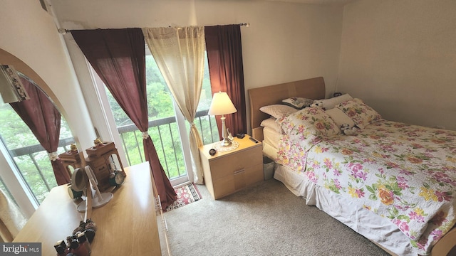 2921 N Leisure World Blvd Unit 418, Silver Spring, MD 20906 - bedroom with carpet floors
