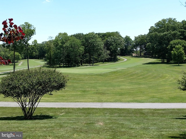 2921 N Leisure World Blvd Unit 418, Silver Spring, MD 20906 - surrounding community featuring view of wooded area, a lawn, and golf course view