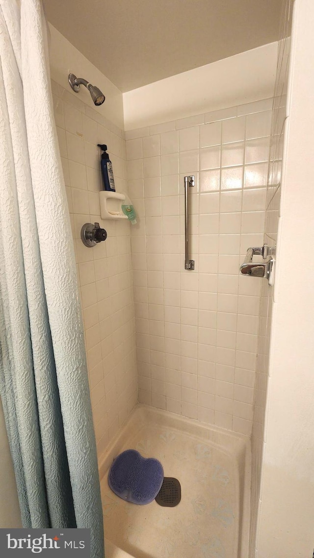 2921 N Leisure World Blvd Unit 418, Silver Spring, MD 20906 - bathroom featuring tiled shower
