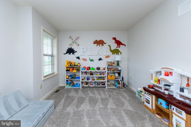 24 Furlong Rd, Douglassville, PA 19518 - game room with carpet floors and baseboards