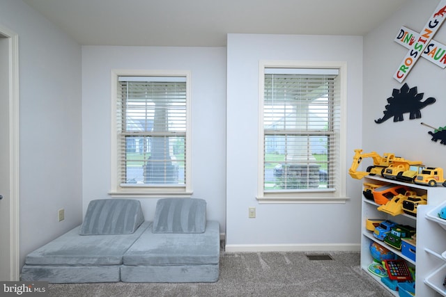 24 Furlong Rd, Douglassville, PA 19518 - living area with healthy amount of natural light, carpet, and baseboards