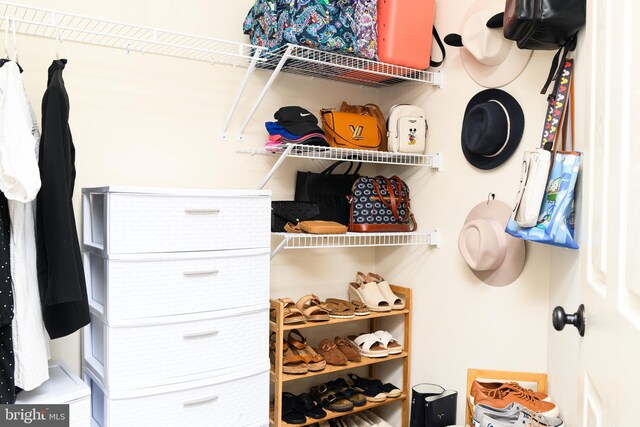 24 Furlong Rd, Douglassville, PA 19518 - view of spacious closet
