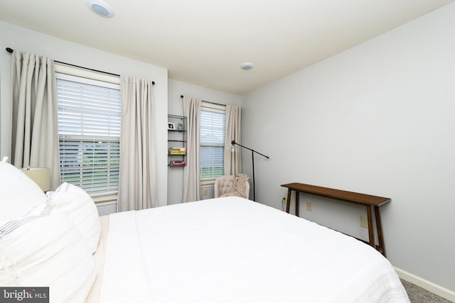 24 Furlong Rd, Douglassville, PA 19518 - bedroom with baseboards and carpet flooring