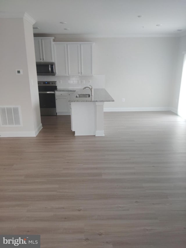 10019 Maids Fancy Way, Hagerstown, MD 21740 - kitchen featuring stainless steel appliances, open floor plan, ornamental molding, baseboards, and light wood-style floors