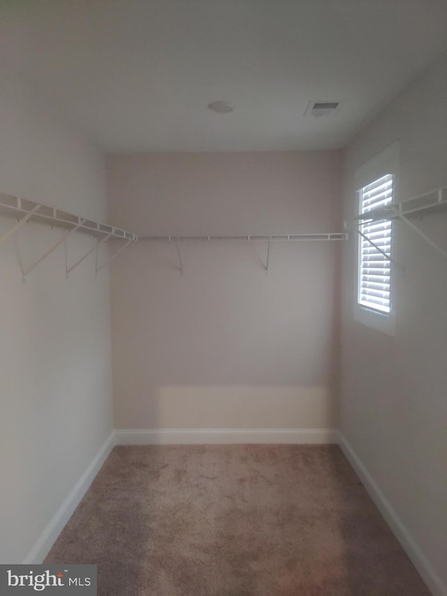 10019 Maids Fancy Way, Hagerstown, MD 21740 - walk in closet with carpet flooring