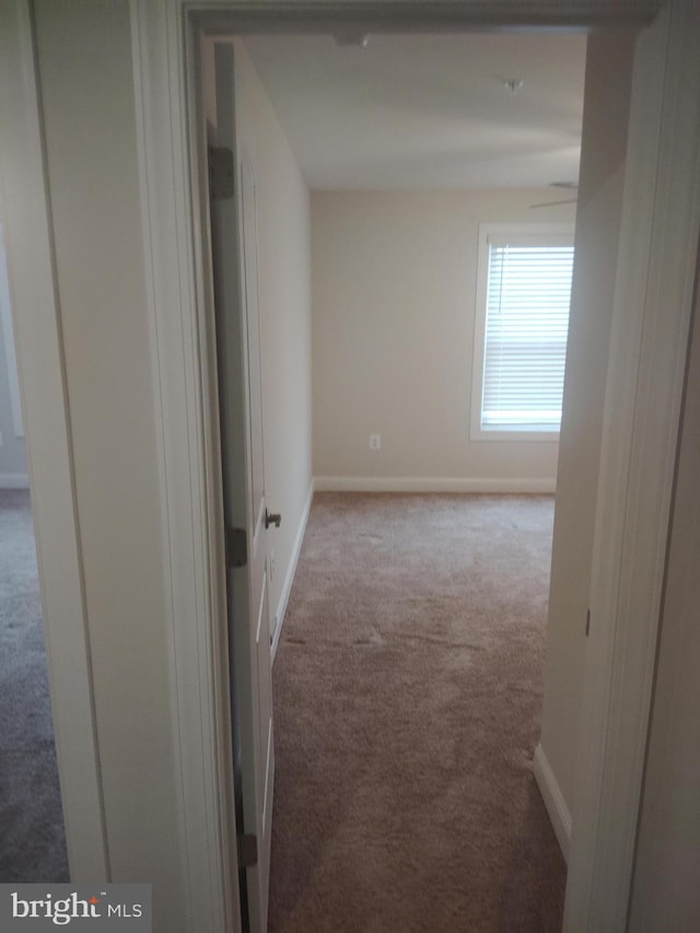 10019 Maids Fancy Way, Hagerstown, MD 21740 - hallway with carpet and baseboards