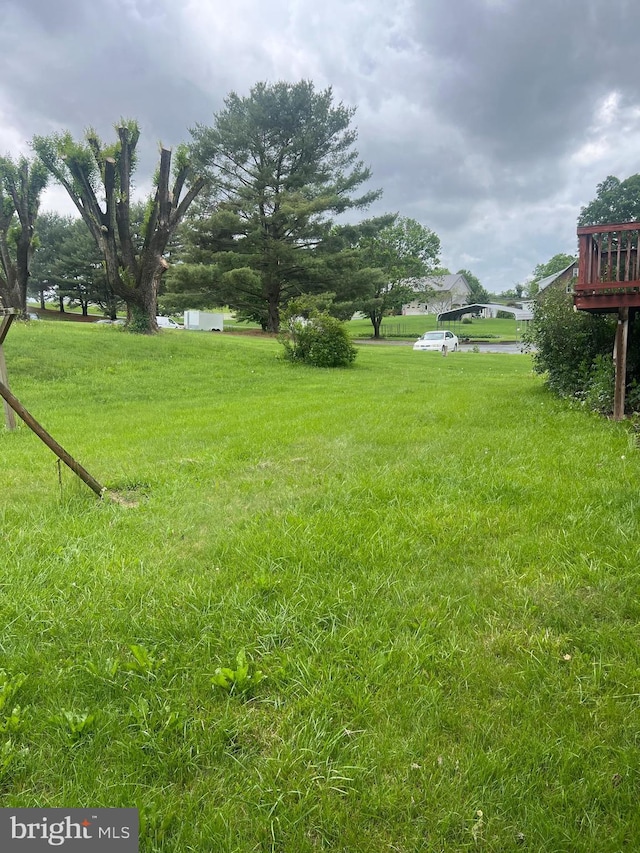 5933 Rawley Pike, Rockingham, VA 22801 - view of grassy yard