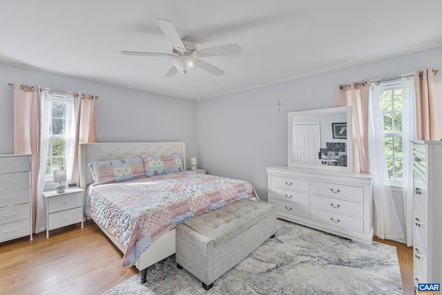 676 Victorian Ct, Charlottesville, VA 22901 - bedroom featuring multiple windows, wood finished floors, and ceiling fan