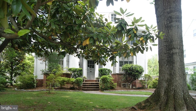 4305 Bradley Ln, Chevy Chase, MD 20815 - view of green lawn