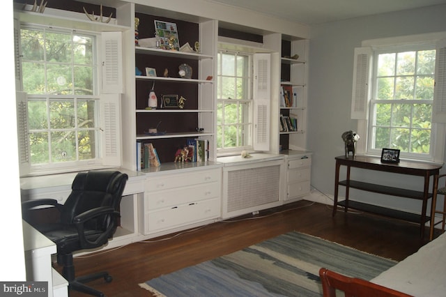 4305 Bradley Ln, Chevy Chase, MD 20815 - office space with radiator heating unit, dark wood-type flooring, and healthy amount of natural light