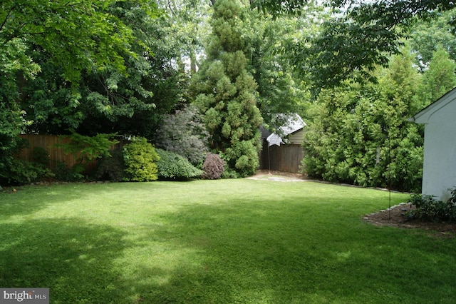 4305 Bradley Ln, Chevy Chase, MD 20815 - view of yard