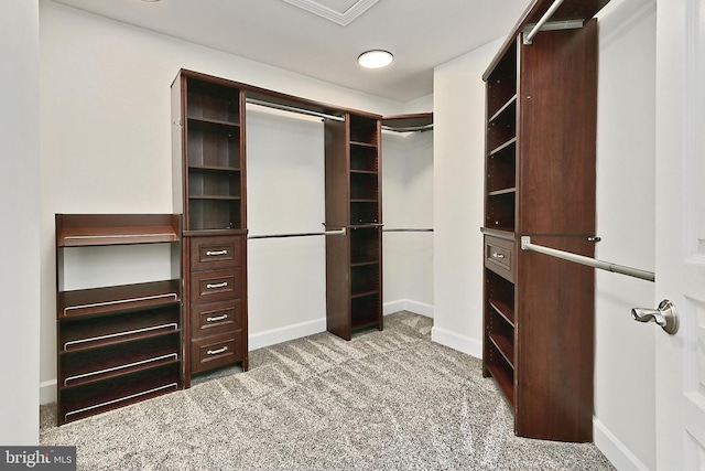 23219 Christopher Thomas Ln, Brambleton, VA 20148 - walk in closet featuring carpet floors