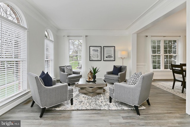 23219 Christopher Thomas Ln, Brambleton, VA 20148 - living room with ornamental molding and wood finished floors