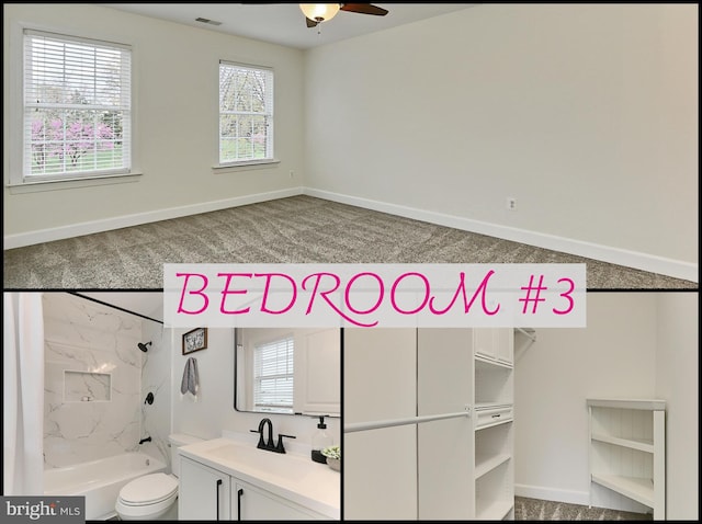 23219 Christopher Thomas Ln, Brambleton, VA 20148 - full bath with vanity, ceiling fan, and healthy amount of natural light