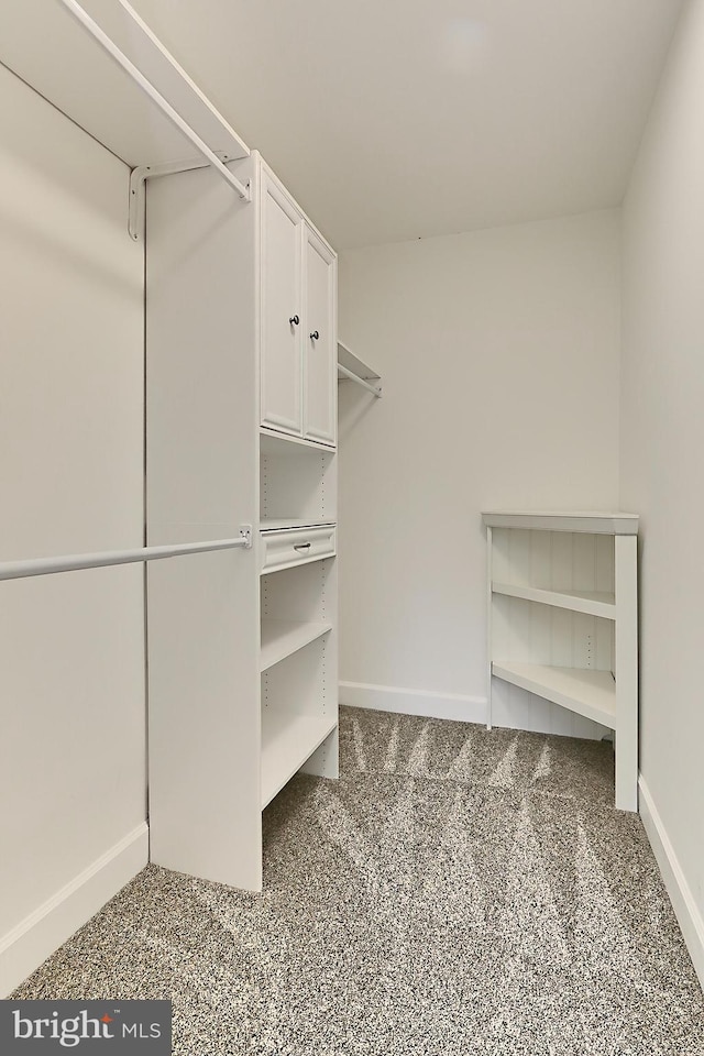 23219 Christopher Thomas Ln, Brambleton, VA 20148 - spacious closet with carpet