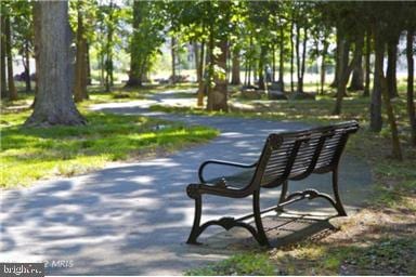 23219 Christopher Thomas Ln, Brambleton, VA 20148 - view of property's community