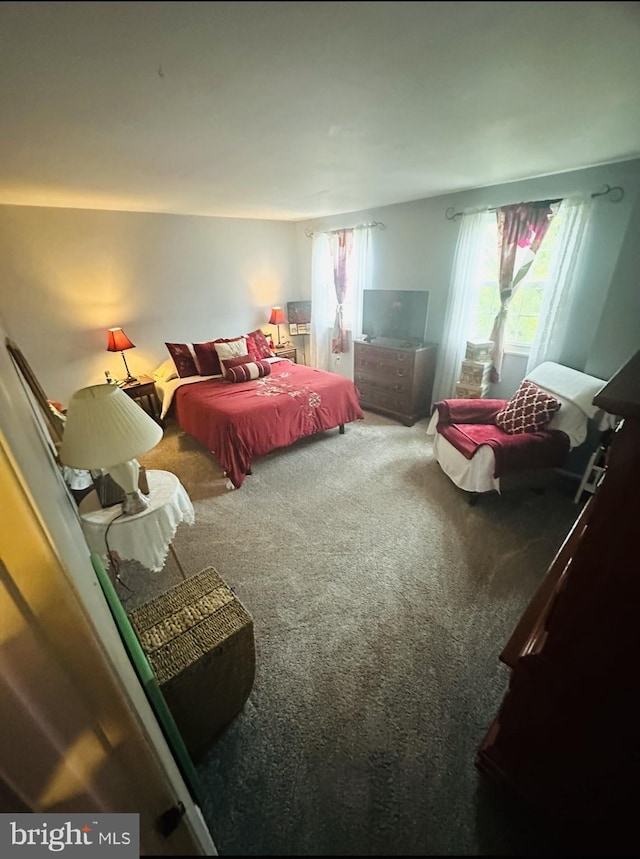 11529 Fenchurch Ct, Germantown, MD 20876 - bedroom featuring carpet flooring and multiple windows