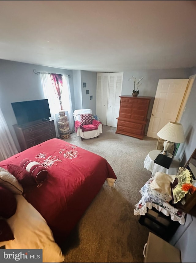 11529 Fenchurch Ct, Germantown, MD 20876 - carpeted bedroom featuring a closet