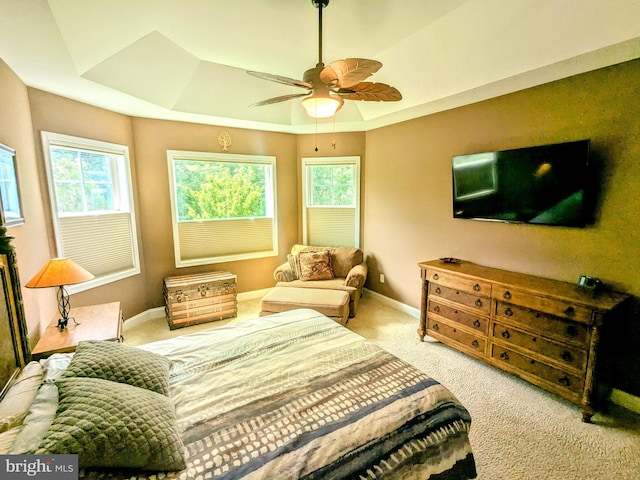 35516 Hedgerow Ln, Rehoboth Beach, DE 19971 - carpeted bedroom featuring a raised ceiling, multiple windows, and baseboards