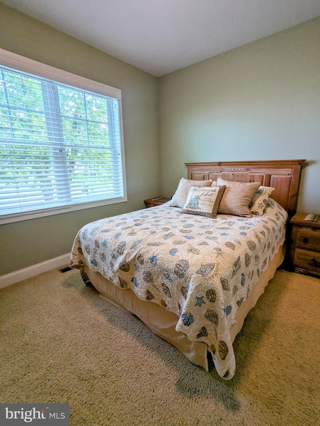 35516 Hedgerow Ln, Rehoboth Beach, DE 19971 - bedroom with carpet floors and baseboards