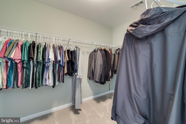 6422 Hard Bargain Cir, Indian Head, MD 20640 - spacious closet with carpet