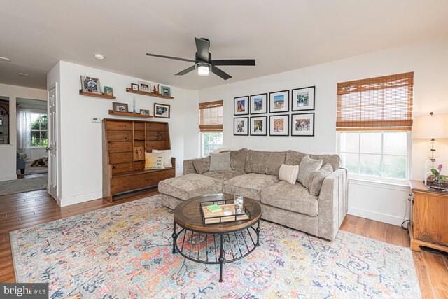 706 Melvin Rd, Telford, PA 18969 - living room with wood finished floors, plenty of natural light, a ceiling fan, and baseboards