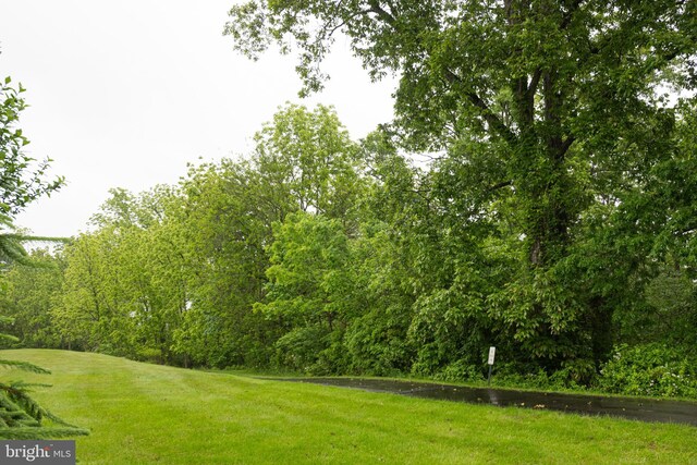706 Melvin Rd, Telford, PA 18969 - view of green lawn featuring a wooded view