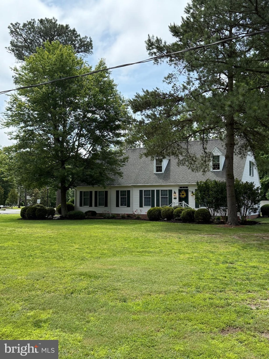 5644 Clifton Woods Dr, Cambridge, MD 21613 - cape cod house with a front yard and roof with shingles