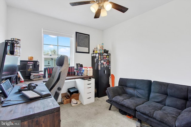 215 Homestead Dr, Hanover, PA 17331 - office space featuring a ceiling fan and light colored carpet