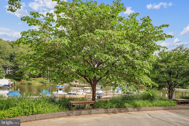 3117 Port Way, Annapolis, MD 21403 - view of yard with a water view
