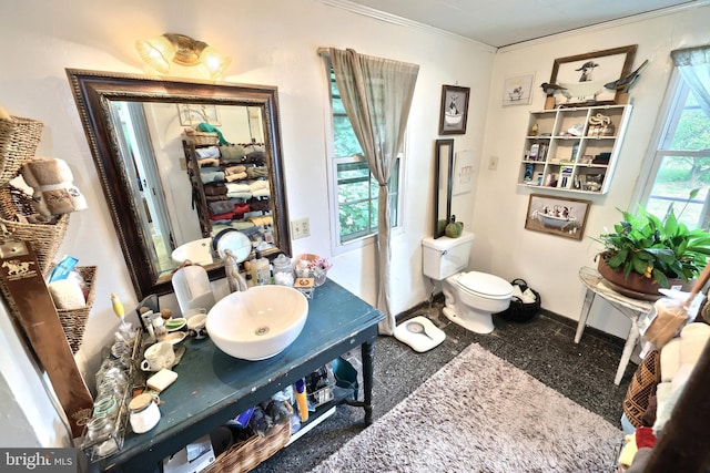 2241 Craley Rd, Windsor, PA 17366 - bathroom featuring baseboards, ornamental molding, toilet, and vanity
