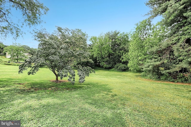 2241 Craley Rd, Windsor, PA 17366 - view of grassy yard