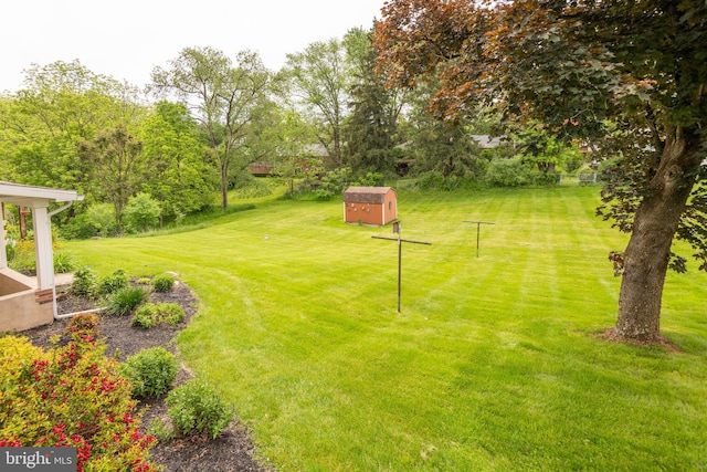 724 E Curtin St, Bellefonte, PA 16823 - view of green lawn with view of scattered trees